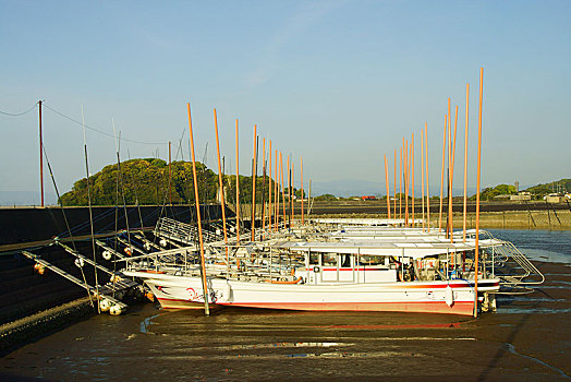 du doan soi cau wap