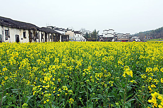 thong ke dac biet tuan
