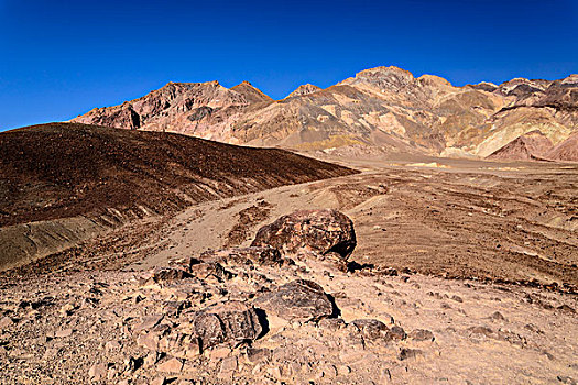 xsvl du doan