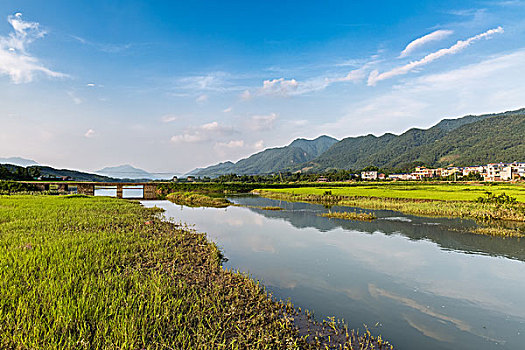 cau mien phi 888