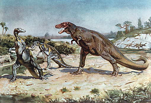 soi cầu đề chuẩn