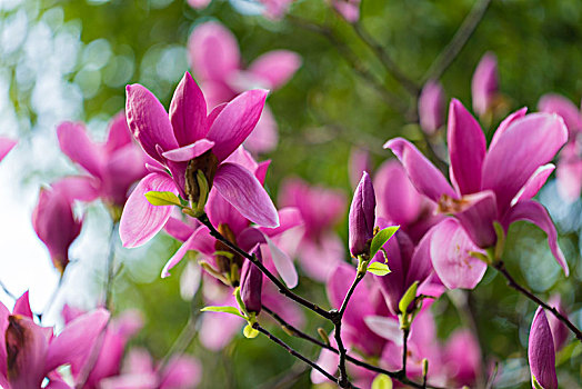 du doan kqxs binh dinh