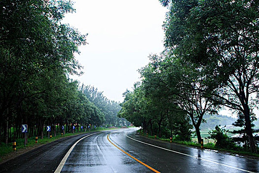 soi cau thien ha bet
