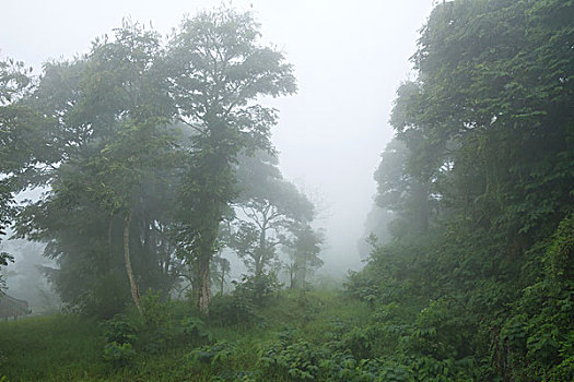 soicau lode chuan