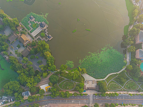 soi câu bach thu