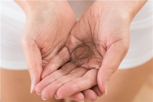 xổ số nam định