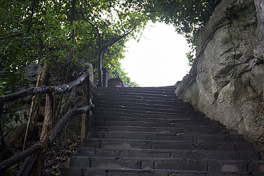 rong bach kim 88