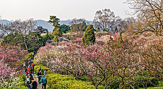 soi cau bach thu sieu chuan