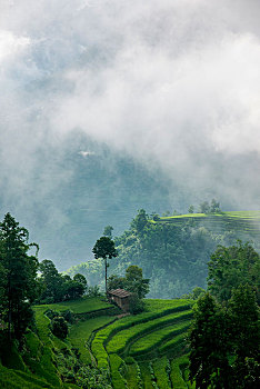 lô đề học