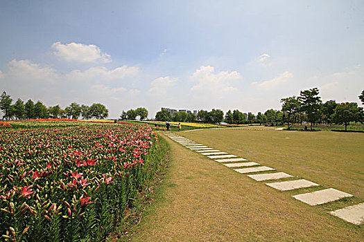 xổ số ngày thứ tư
