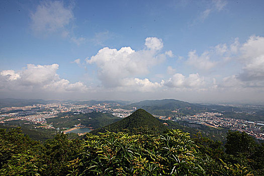 dàn đề 4 con