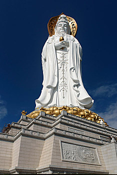 soi cau wap sh