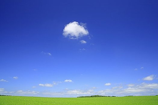 xổ số miền nam thứ năm