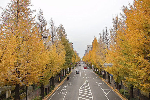 xosomienbac